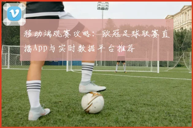 移动端观赛攻略：欧冠足球联赛直播App与实时数据平台推荐