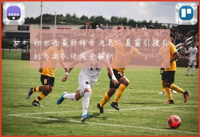 切尔西最新转会消息：夏窗引援目标与离队传闻全解析