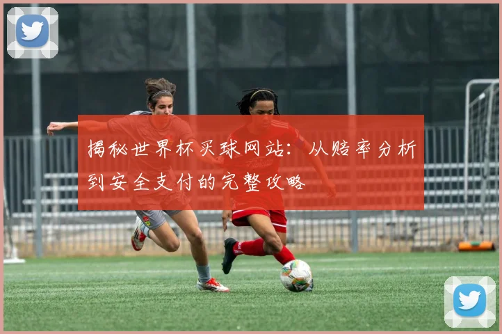 揭秘世界杯买球网站：从赔率分析到安全支付的完整攻略