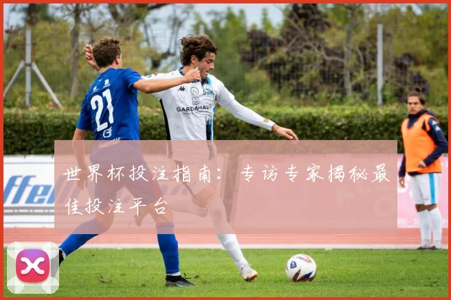 世界杯投注指南：专访专家揭秘最佳投注平台