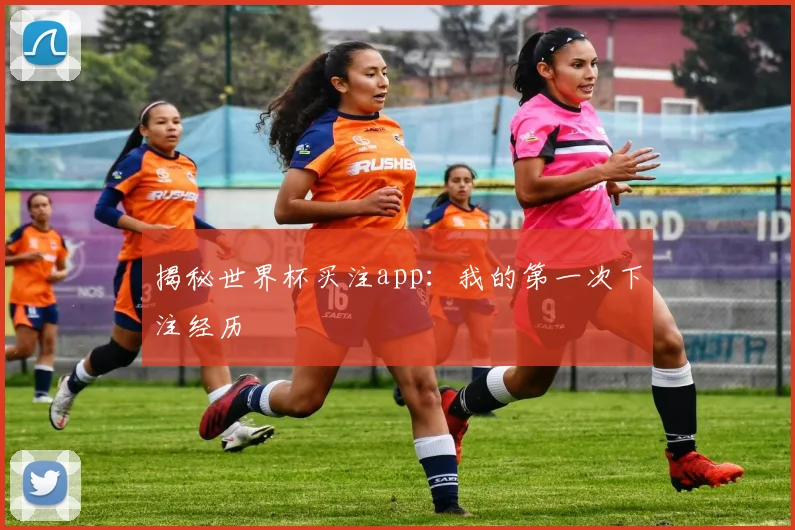 揭秘世界杯买注app:我的第一次下注经历