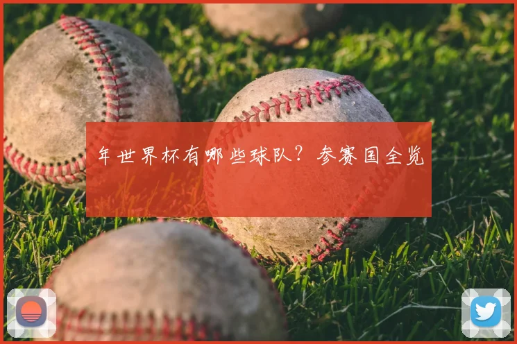 年世界杯有哪些球队？参赛国全览