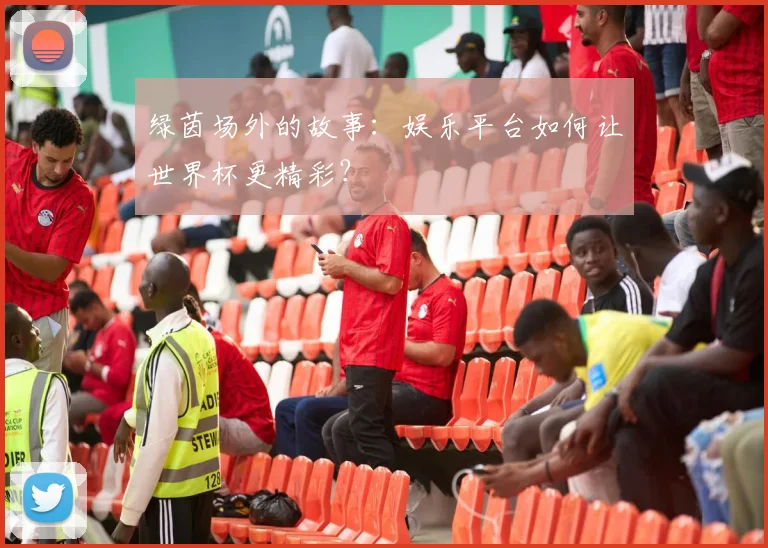 绿茵场外的故事：娱乐平台如何让世界杯更精彩？