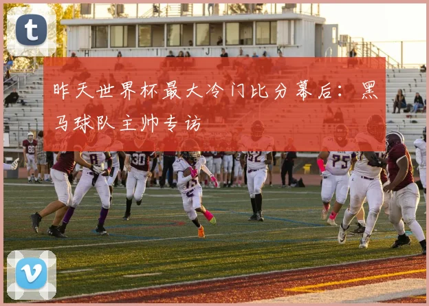 昨天世界杯最大冷门比分幕后：黑马球队主帅专访