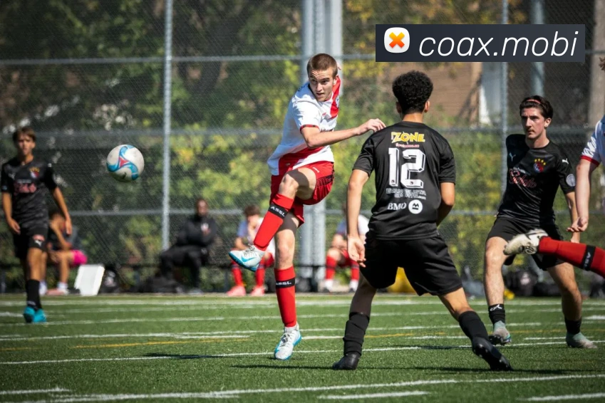 多媒体互动体验