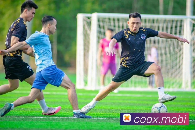 平台使命图